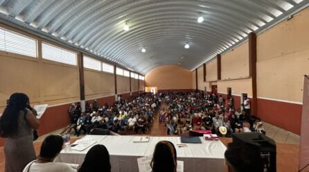 AMPLIA PARTICIPACIÓN CIUDADANA, EN LA INSTALACIÓN DE LA ASAMBLEA DE SOMOS MX EN EL DISTRITO 5 EN TEMASCALAPA, EDOMEX