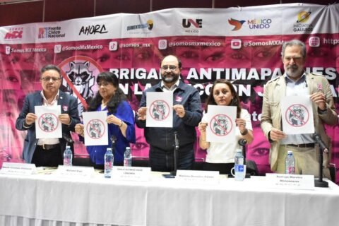 Brigada AntiMapaches