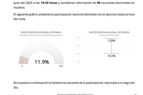Exigimos la nulidad de la elección judicial