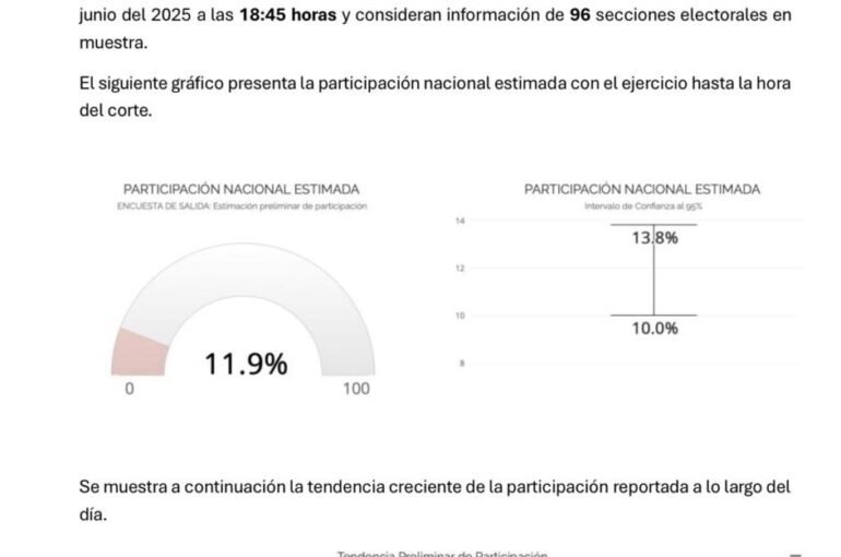 Exigimos la nulidad de la elección judicial