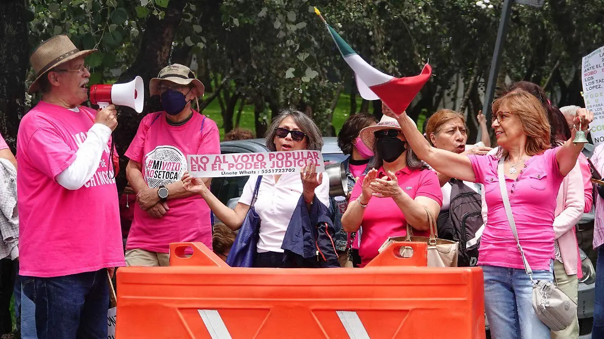 Marea Rosa está a cuatro asambleas de cumplir el requisito para ...