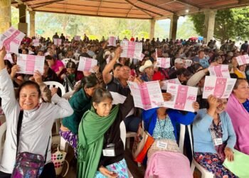 somos-mexico-246-asambleas-registro-ine