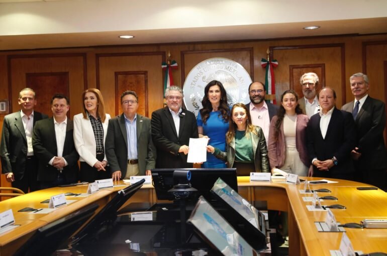 Propuesta de Reforma Electoral Somos México