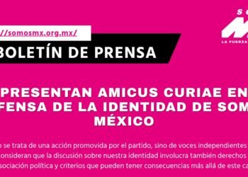 Boletin Amicus