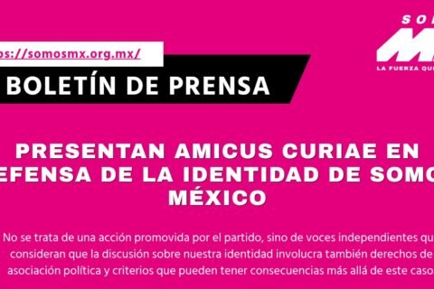 Boletin Amicus