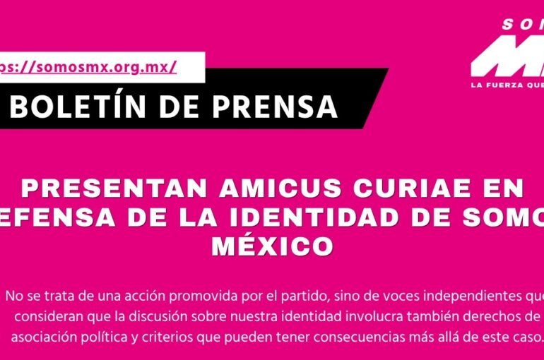 Boletin Amicus