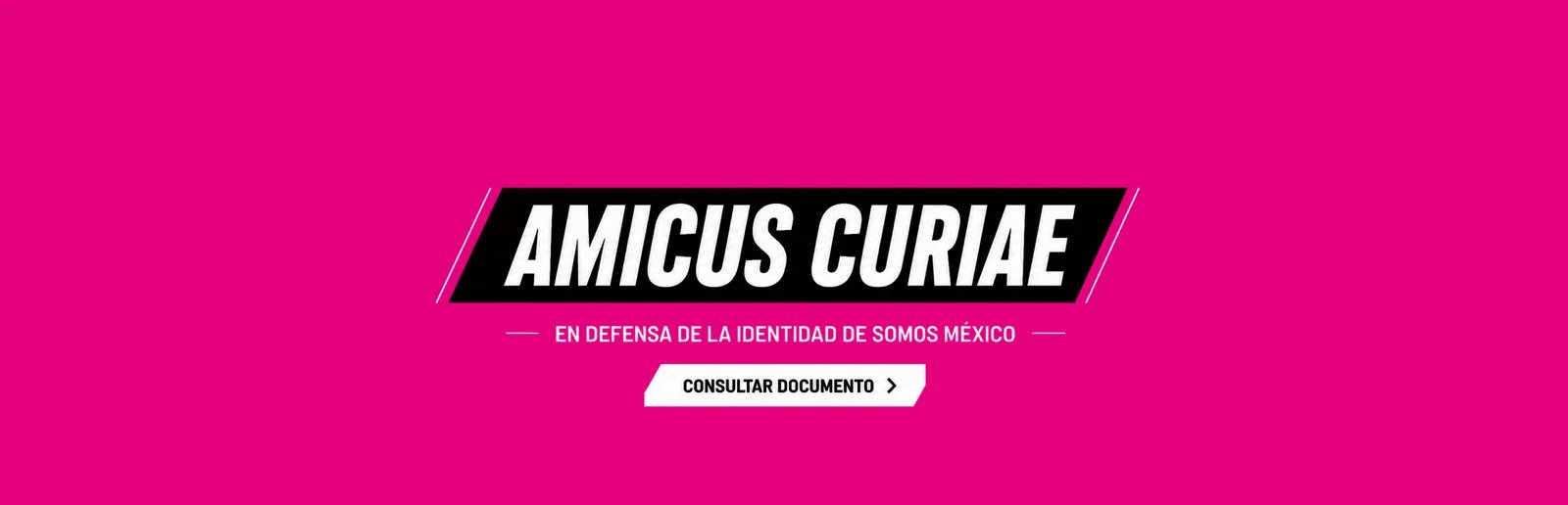 Somos en defensa de la identidad