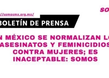 En México se normalizan los asesinatos y feminicidios contra mujeres; es inaceptable: Somos