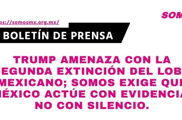 boletin-41-1789244688