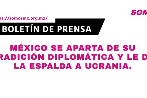 boletin-49-1790635487
