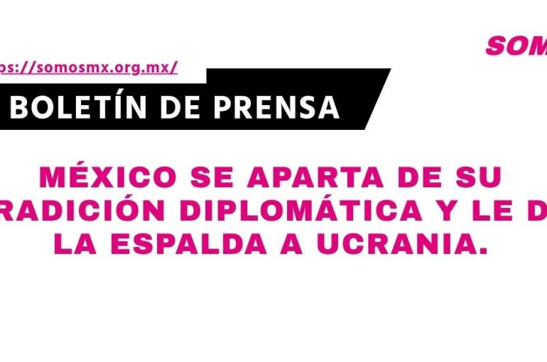boletin-49-1790635487