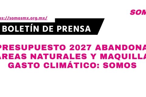 boletin-49-1790714117