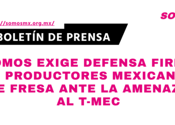 Somos exige defensa firme de productores mexicanos de fresa ante la amenaza al T-MEC