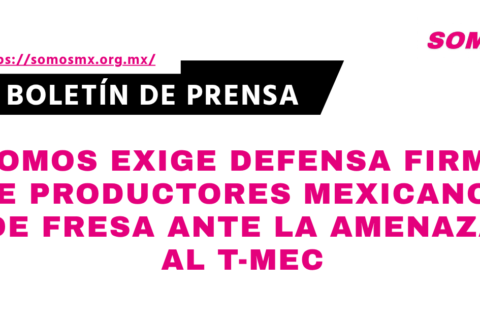 boletines-somos-1788470609